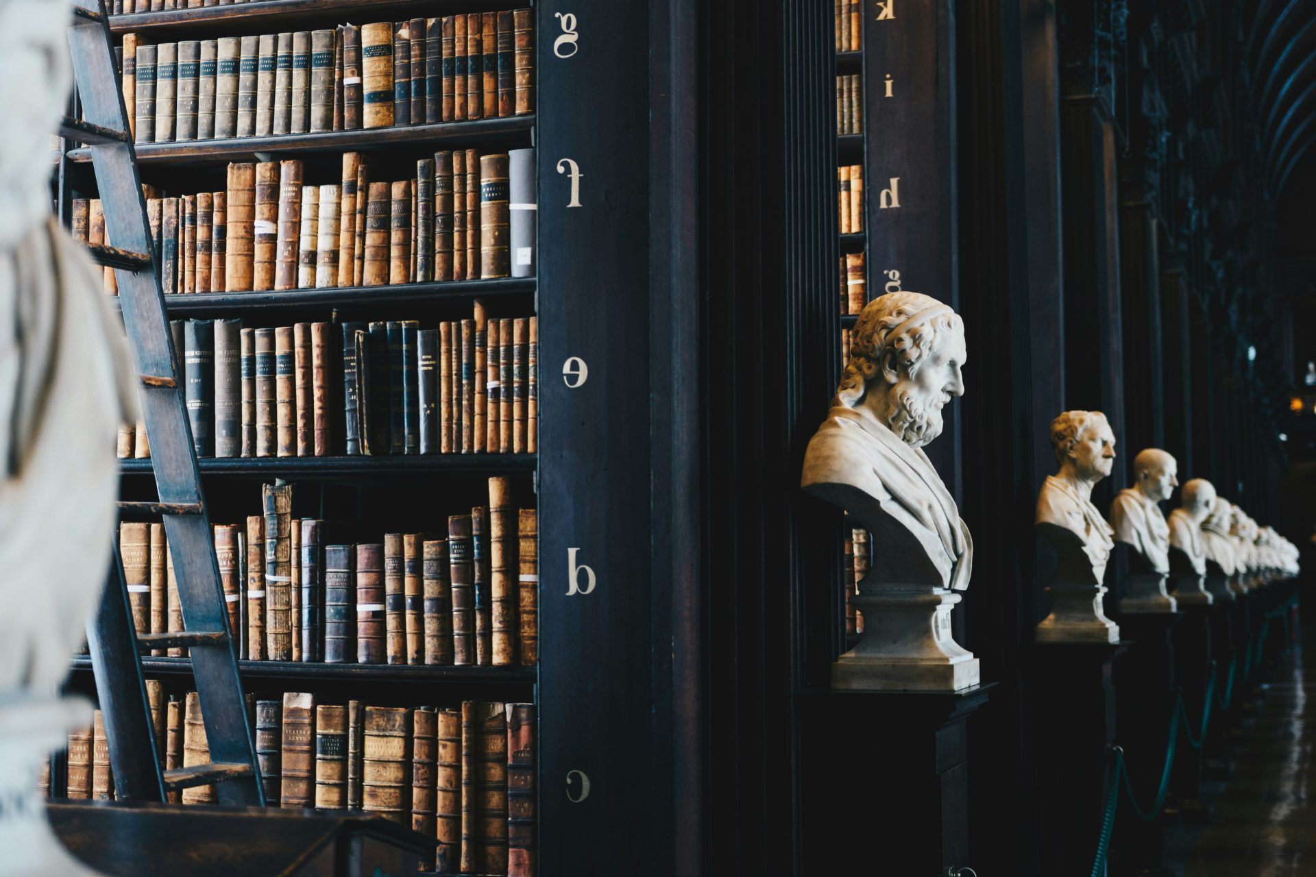 book lot on black wooden shelf